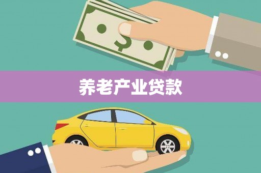 盘龙养老产业贷款