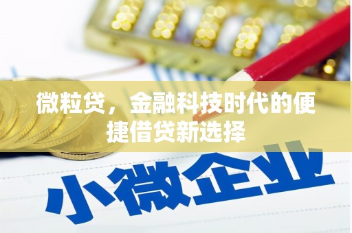 盘龙微粒贷，金融科技时代的便捷借贷新选择