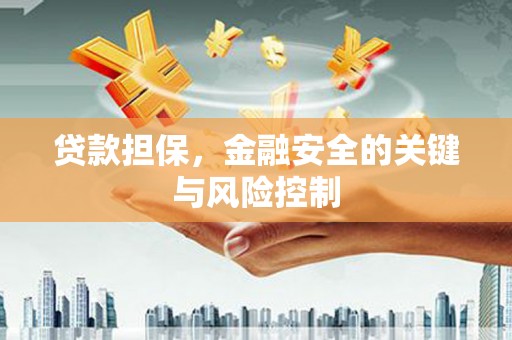 盘龙贷款担保，金融安全的关键与风险控制