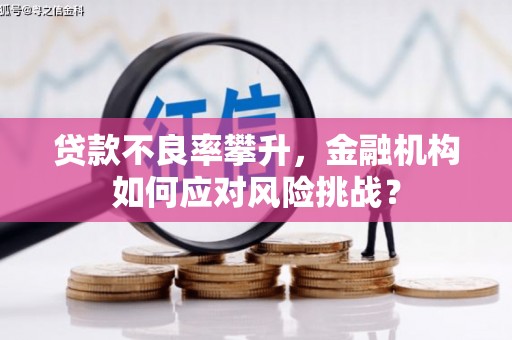 盘龙贷款不良率攀升，金融机构如何应对风险挑战？