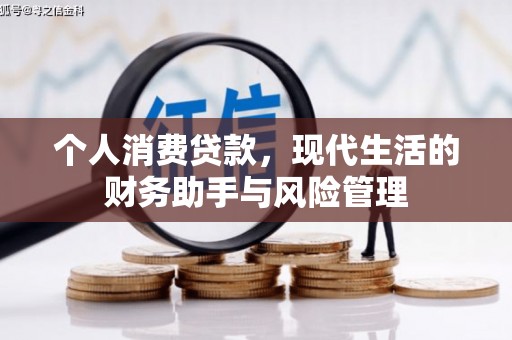 盘龙个人消费贷款，现代生活的财务助手与风险管理
