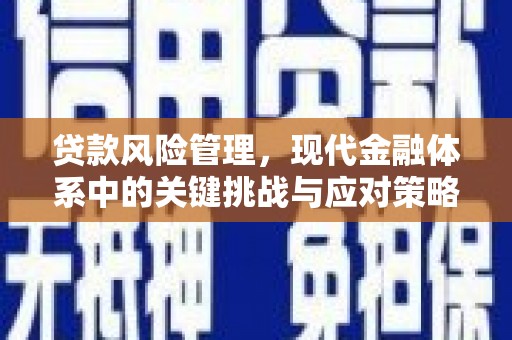 盘龙贷款风险管理，现代金融体系中的关键挑战与应对策略