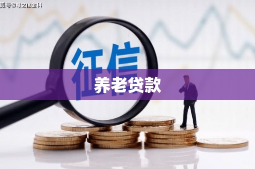 盘龙养老贷款