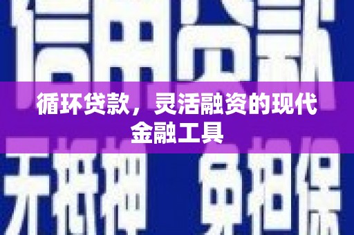 盘龙循环贷款，灵活融资的现代金融工具