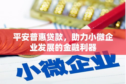 盘龙平安普惠贷款，助力小微企业发展的金融利器