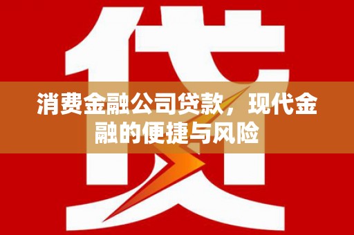 盘龙消费金融公司贷款，现代金融的便捷与风险