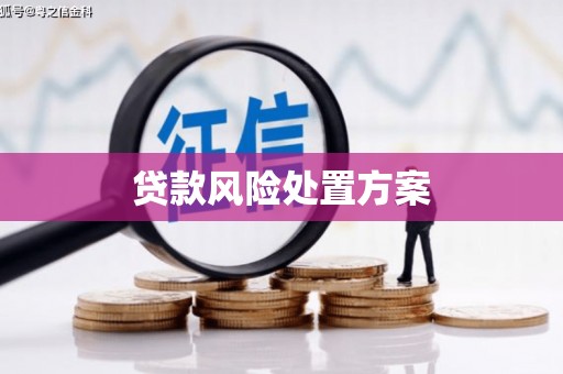 盘龙贷款风险处置方案