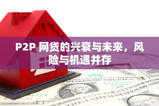 盘龙P2P 网贷的兴衰与未来，风险与机遇并存