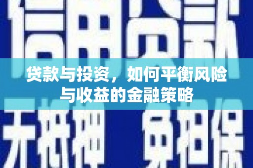 盘龙贷款与投资，如何平衡风险与收益的金融策略