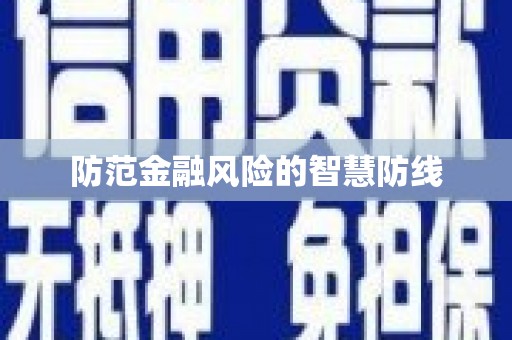 盘龙防范金融风险的智慧防线