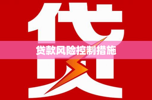盘龙贷款风险控制措施