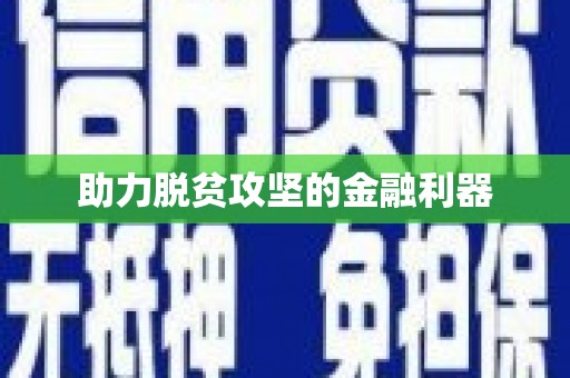 盘龙助力脱贫攻坚的金融利器