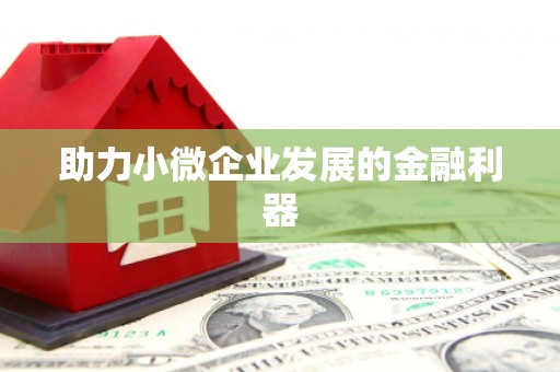 盘龙助力小微企业发展的金融利器