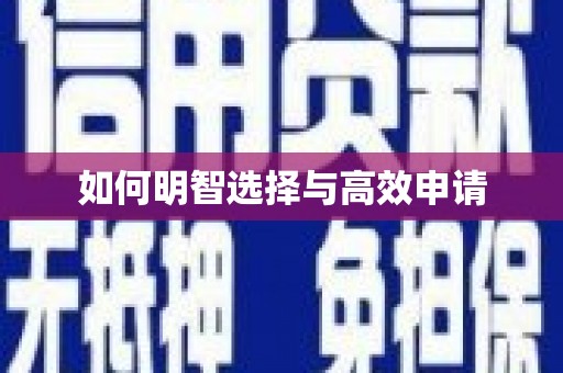 盘龙如何明智选择与高效申请