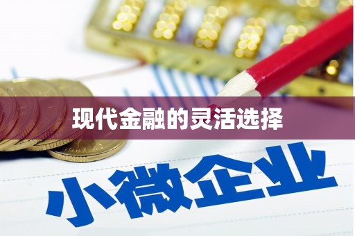 盘龙现代金融的灵活选择