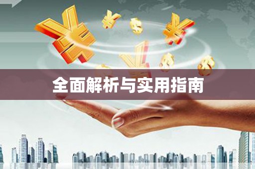 盘龙全面解析与实用指南