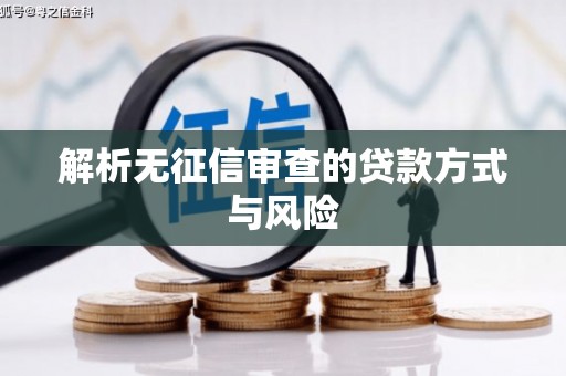 盘龙解析无征信审查的贷款方式与风险