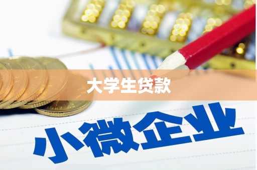 盘龙大学生贷款