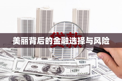盘龙美丽背后的金融选择与风险