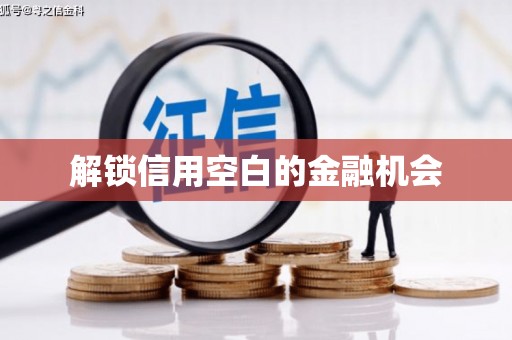 盘龙解锁信用空白的金融机会