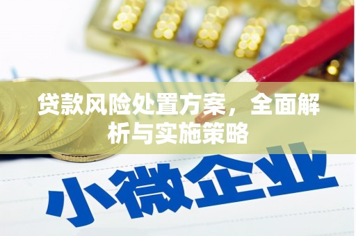 盘龙贷款风险处置方案，全面解析与实施策略
