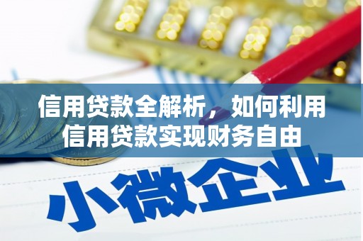 盘龙信用贷款全解析，如何利用信用贷款实现财务自由