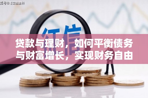 盘龙贷款与理财，如何平衡债务与财富增长，实现财务自由
