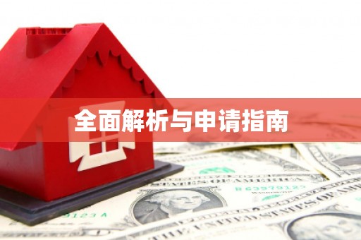 盘龙全面解析与申请指南