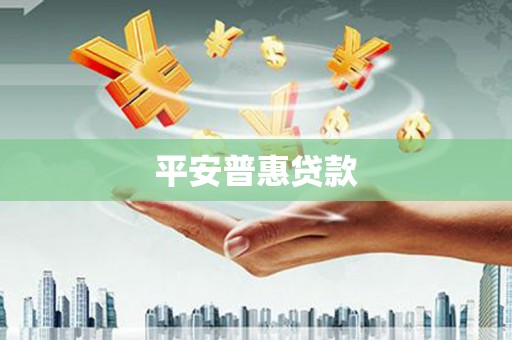 盘龙平安普惠贷款